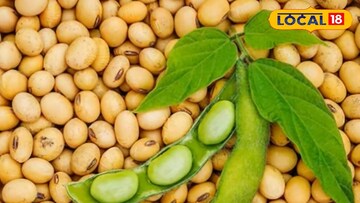 सोयाबीन 