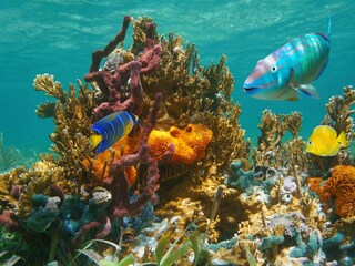 प्रतीकात्मक फोटो