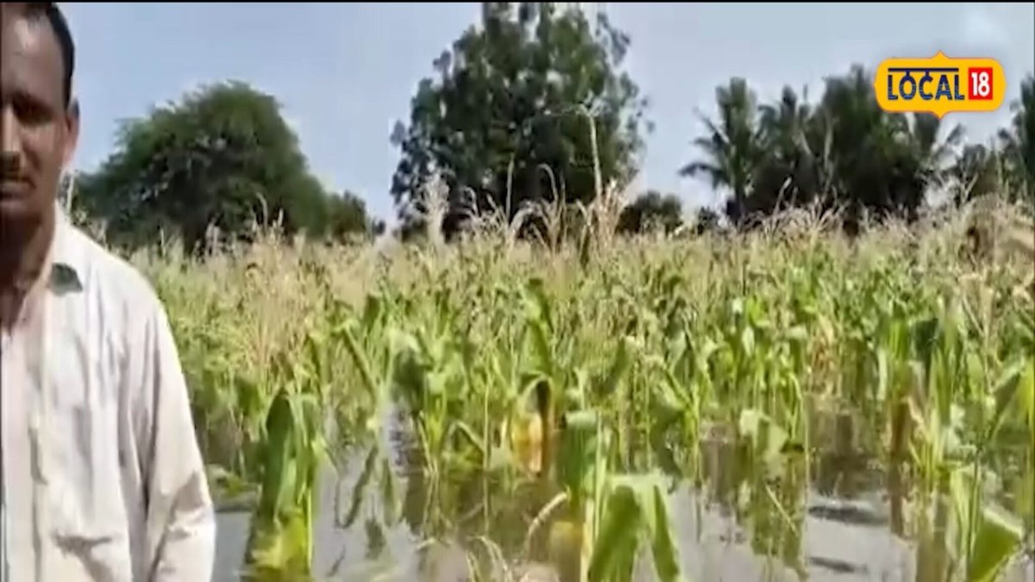 हातातोंडाशी आलेला घास पुरानं वाहून नेला! कर्जाच्या डोंगराखाली दबलेला शेतकरी मदतीसाठी हतबल