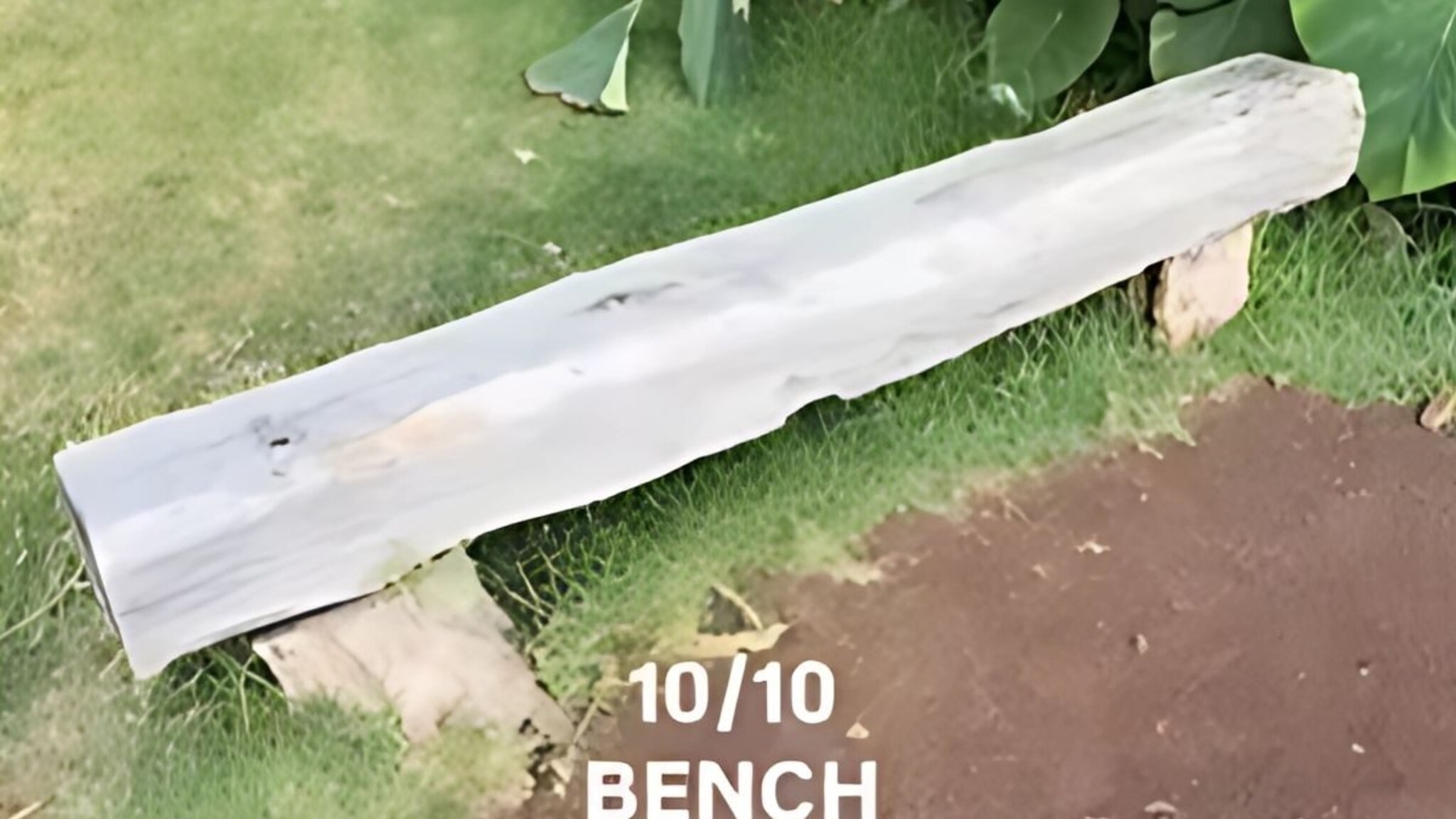 अद्भुत! या बेंचवर बसताच दिसतं जगातील सगळ्यात सुंदर दृश्य, कोणतं? Watch Video