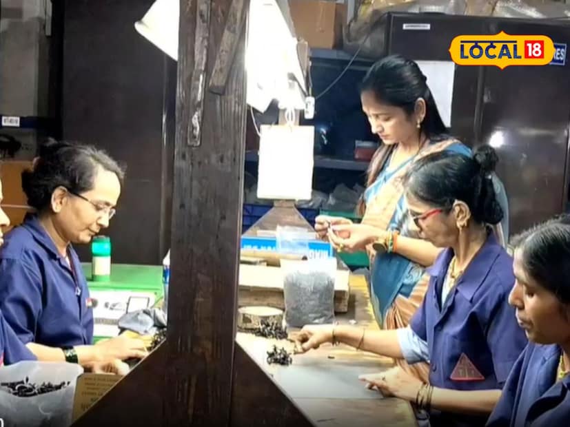 मूळच्या अहिल्यानगर जिल्ह्यातील असलेल्या आणि सध्या पुण्यात स्थायिक झालेल्या राजश्री गागरे यांनी शेतकरी महिला ते जर्मन कंपनीची मालकीण होण्याचा मान मिळवला आहे. विशेष म्हणजे, ही कंपनी आशिया खंडातील पहिली चुंबक बनवणारी कंपनी आहे. राजश्री गागरे यांचा प्रवास एखाद्या चित्रपटालाही लाजवेल असा आहे. या संपूर्ण प्रवासाबद्दल त्यांनी लोकल 18 ला माहिती दिली आहे.