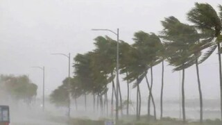 Maharashtra Rain Maharashtra Rain