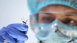 प्रतीकात्मक फोटो