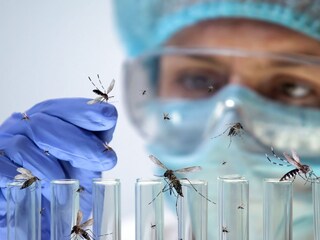 प्रतीकात्मक फोटो