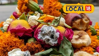 Thane News: बाप्पाच्या निर्माल्यातून मिळणार वृक्षांना जीवदान, ठाण्यात पर्यावरणपूरक उपक्रम Thane News: बाप्पाच्या निर्माल्यातून मिळणार वृक्षांना जीवदान, ठाण्यात पर्यावरणपूरक उपक्रम