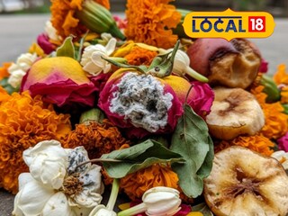 Thane News: बाप्पाच्या निर्माल्यातून मिळणार वृक्षांना जीवदान, ठाण्यात पर्यावरणपूरक उपक्रम