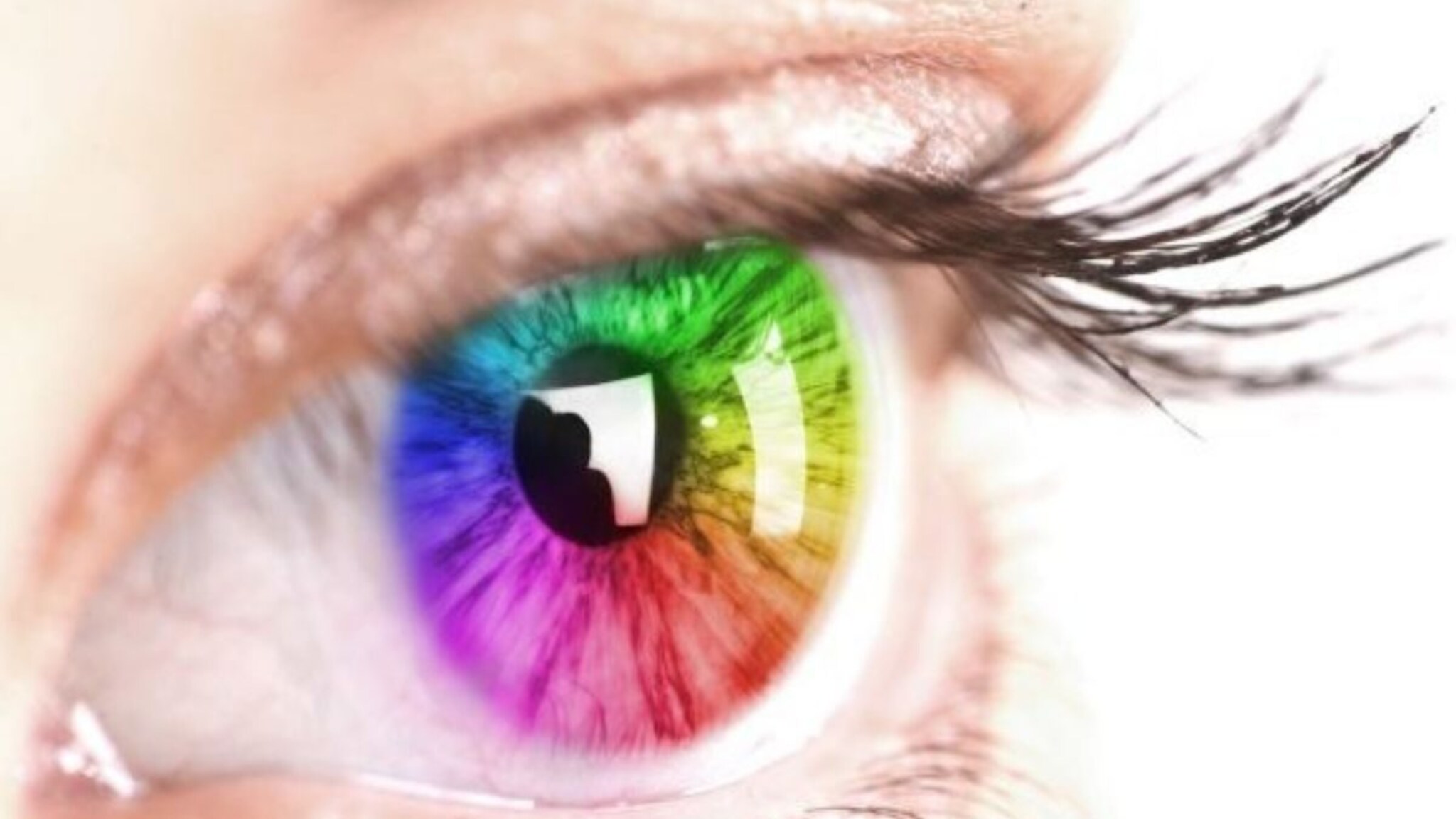 Olo Colour : ओलो कलर, असा रंग जो जगातील फक्त 5 लोकांनाच दिसला, असतो कसा?