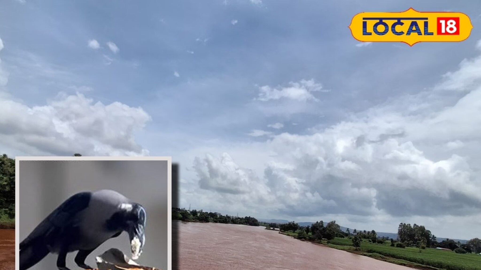 Pitru Paksha 2025: गेले कावळे कुणीकडे? पितृ पक्षात सगळेच हैराण