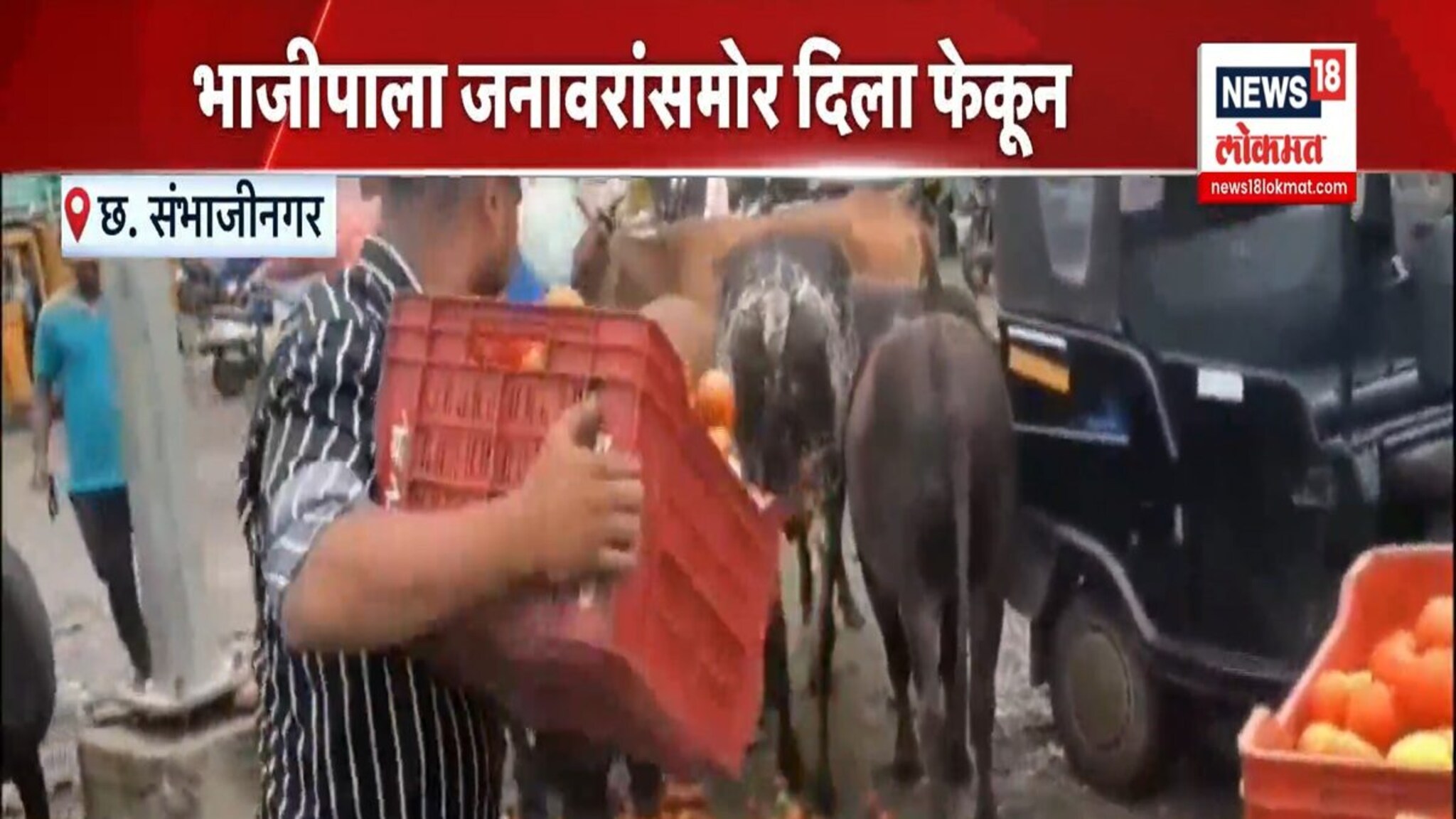 भाव नसल्यामुळे शेतकरी संतप्त; भाजीपाला जनवारांसामोर दिला फेकून!