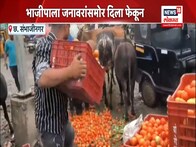 भाव नसल्यामुळे शेतकरी संतप्त; भाजीपाला जनवारांसामोर दिला फेकून!