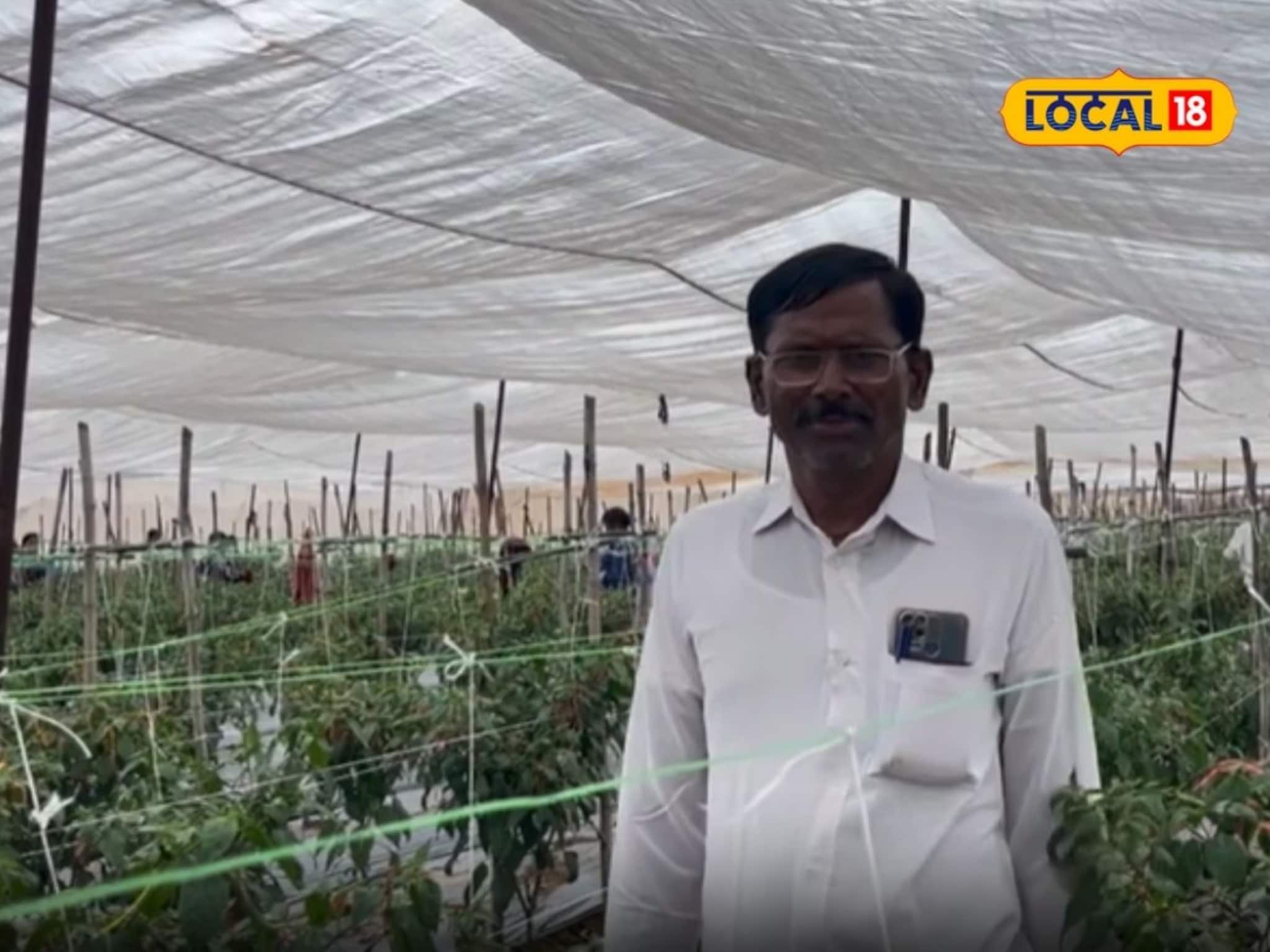 Success Story: शेडनेट शेतीने नशीबच पालटलं, शेतकऱ्याची लाखोंची कमाई, बांधला एक कोटी रुपयांचा बंगला