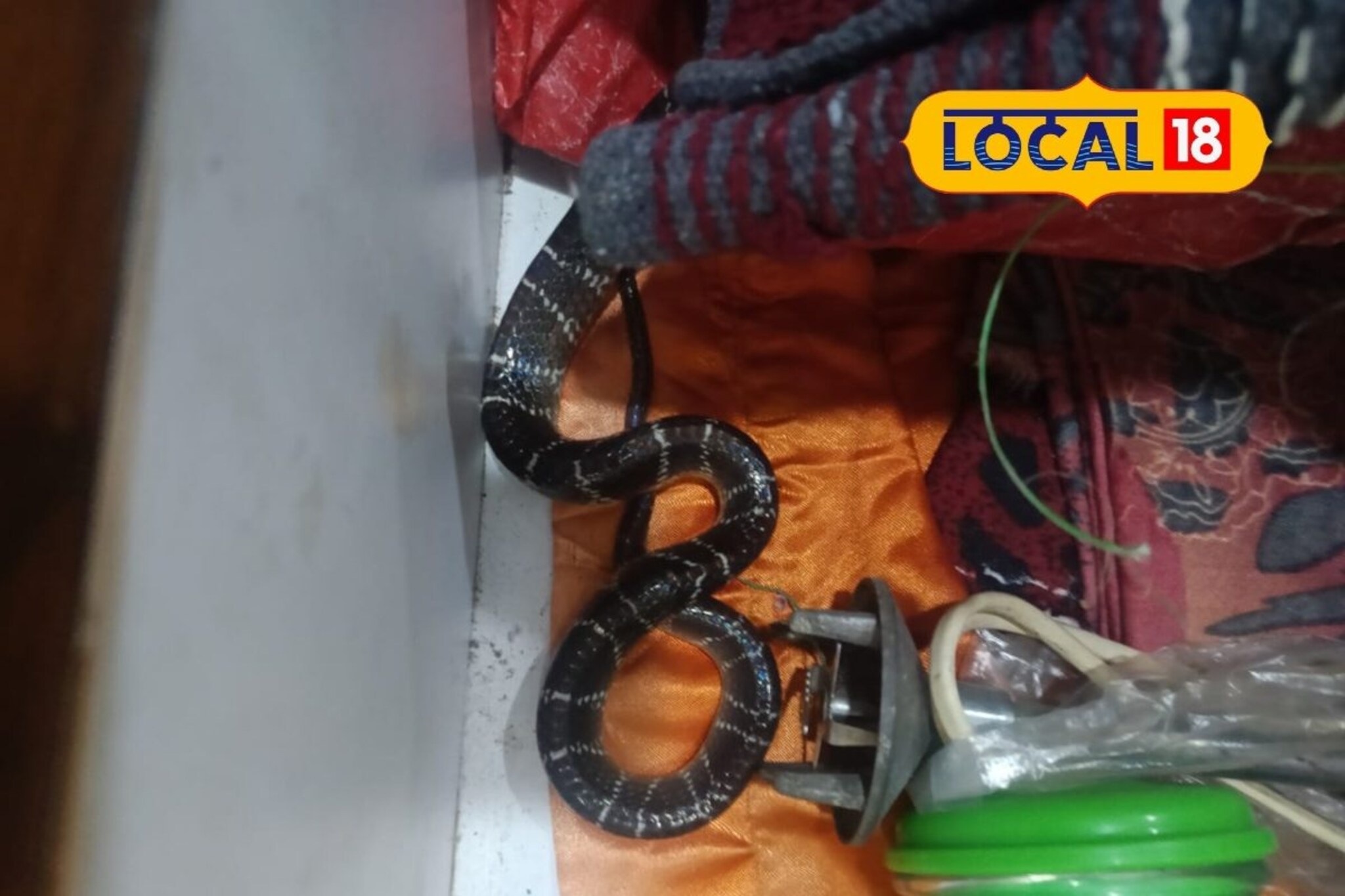 डोंबिवलीत भाची पाठोपाठ मावशीचाही मृत्यू, झोपेत विषारी सापाने घेतला होता चावा