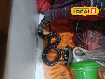 Dombivli: हृदयद्रावक! डोंबिवलीत भाची पाठोपाठ मावशीचाही मृत्यू, झोपेत असताना विषारी सापाने घेतला होता चावा