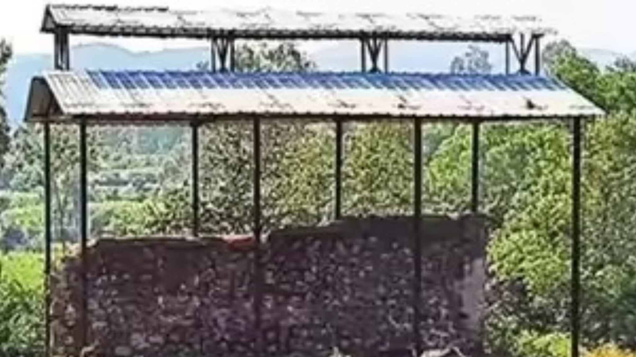 बहिणीचं निधन झालं, सुरेश सगळीकडे फिरला, कुणीचं आलं नाही मदतीला!