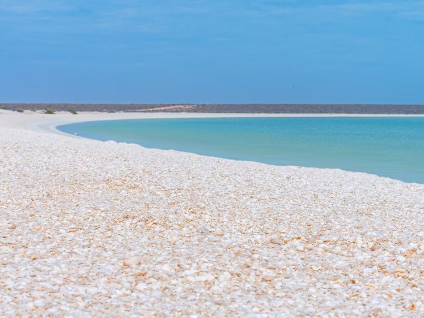 शेल बीच (Shell Beach) - शार्क बे, पश्चिम ऑस्ट्रेलिया : हा किनारा वाळूऐवजी कोट्यवधी लहान पांढऱ्या शिंपल्यांनी बनलेला आहे. समुद्राच्या पाण्यात जास्त मीठ असल्यामुळे येथे वाळू नाही, फक्त शिंपले आहेत.