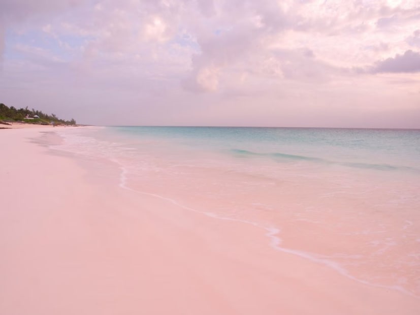 पिंक सँड्स बीच (Pink Sands Beach) - हार्बर आयलंड, बहामास : या किनाऱ्याची वाळू गुलाबी रंगाची आहे. या रंगाचे कारण म्हणजे मायक्रोस्कोपिक कोरल कीटक, ज्यांच्या शिंपल्यांचा रंग लालसर-गुलाबी असतो.