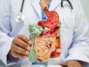 Digestion :पोटाचं तंत्र जपणारी पाच फळं,आतडीही राहतील स्वच्छ, वाचा सविस्तर माहिती