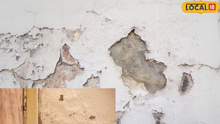 दाराचा ओलावा दूर करण्यासाठी टिप्स