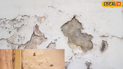 दाराचा ओलावा दूर करण्यासाठी टिप्स दाराचा ओलावा दूर करण्यासाठी टिप्स