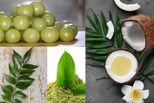Hair Care : पांढऱ्या केसांवर हे उपाय नक्की करुन बघा, केस नैसर्गिकरीत्या राहतील काळे