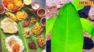 केळीच्या पानांचे उपयोग