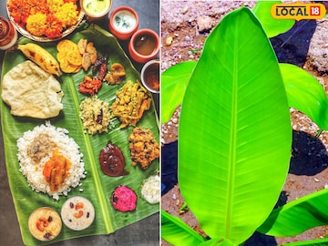 केळीच्या पानांचे उपयोग