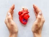 Heart Health : दिल की बात....हृदयासाठी हे हानिकारक पदार्थ खाऊ नका, वाचा सविस्तर