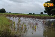 Beed Rain : ‘कष्ट अन् खर्च सगळं काही वाहून गेलं’, बीडमध्ये मुसळधार पावसाचा कहर, शेतकरी हतबल, Video