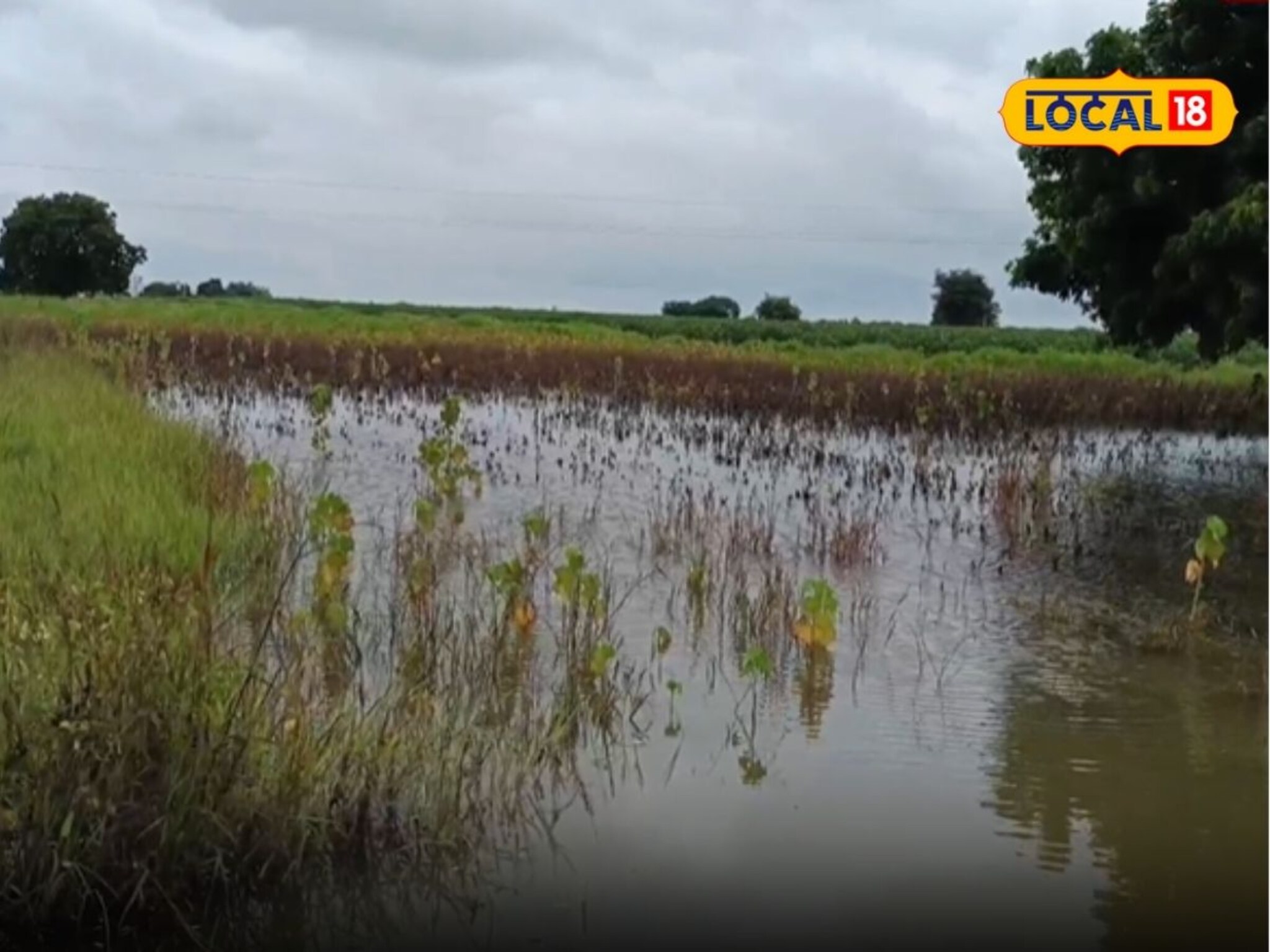 कष्ट अन् खर्च सगळं काही वाहून गेलं’, बीडमध्ये मुसळधार पावसाचा कहर, शेतकरी हतबल,