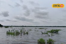 Godavari River Flood: आभाळ फाटलं, गोदामाईचं पहिल्यांदाच रौद्ररूप; बीडमधील काळीज धस करणारे 7 PHOTOS