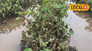 दिवाळीच्या