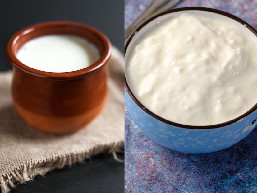 ही आवडत नाही असे फार कमी लोक आहेत. दही हा चवीसोबतच आरोग्यासाठीही चांगला असलेल्या पदार्थांपैकी एक आहे. त्यात असलेले प्रोबायोटिक्स पचन सुधारतात, कॅल्शियम हाडे मजबूत करतात आणि प्रथिने शरीराला ऊर्जा देतात. शरीराला थंड ठेवण्याचा गुणधर्म असल्याने वर्षभर दही खाण्याचा सल्ला तज्ञ देतात. ही आवडत नाही असे फार कमी लोक आहेत. दही हा चवीसोबतच आरोग्यासाठीही चांगला असलेल्या पदार्थांपैकी एक आहे. त्यात असलेले प्रोबायोटिक्स पचन सुधारतात, कॅल्शियम हाडे मजबूत करतात आणि प्रथिने शरीराला ऊर्जा देतात. शरीराला थंड ठेवण्याचा गुणधर्म असल्याने वर्षभर दही खाण्याचा सल्ला तज्ञ देतात.