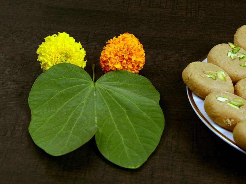 धार्मिक महत्त्व: हिंदू परंपरेत पूजा आणि विधींमध्ये आपट्याचे पान देवतांना अर्पण केले जाते. पानावर देवी-देवतांचे न्याहारी ठेवणे शुभ मानले जाते. ही प्रथा समृद्धी, सौभाग्य आणि सकारात्मक ऊर्जा दर्शवते.