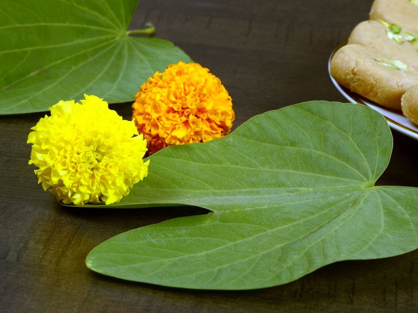 दसऱ्याच्या दिवशी पान देणे आणि घेणे ही फक्त पारंपरिक प्रथा नाही, तर सौभाग्य, नातेसंबंध आणि समृद्धी टिकवण्याचा संदेश देखील देते.