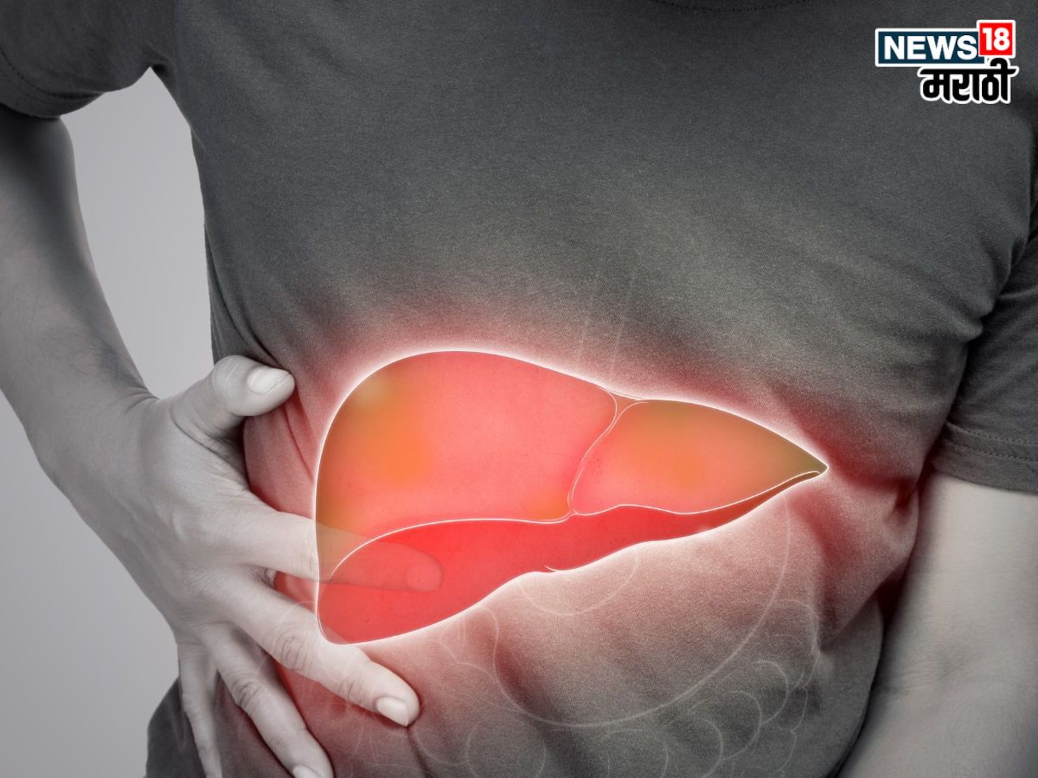 Fatty Liver : फॅटी लिव्हरपासून हवीय सुटका? 'हे' टेस्टी 4 ड्रिंक्स ठरतील रामबाण, काही दिवसांमध्येच दिसेल फरक