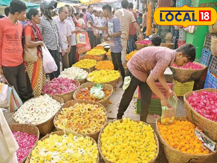  गेल्या काही दिवसांपासून अनेक जिल्ह्यांमध्ये अतिवृष्टीच्या पावसाने हाहाकार माजवला आहे. त्यामुळे ऐन नवरात्रोत्सवामध्ये शेतकर्&#x200d;यांकडून होणारी झेंडूच्या फुलांची आवक घटली आहे. त्यामुळे झेंडूच्या फुलांचा भाव वधारल्याचं पाहायला मिळत आहे. एका ठिकाणी शेतकरी काही पिकांमुळे नाराज असताना फुलांच्या बाजारामध्ये शेतकऱ्याला दमदार भाव मिळताना दिसत आहे.