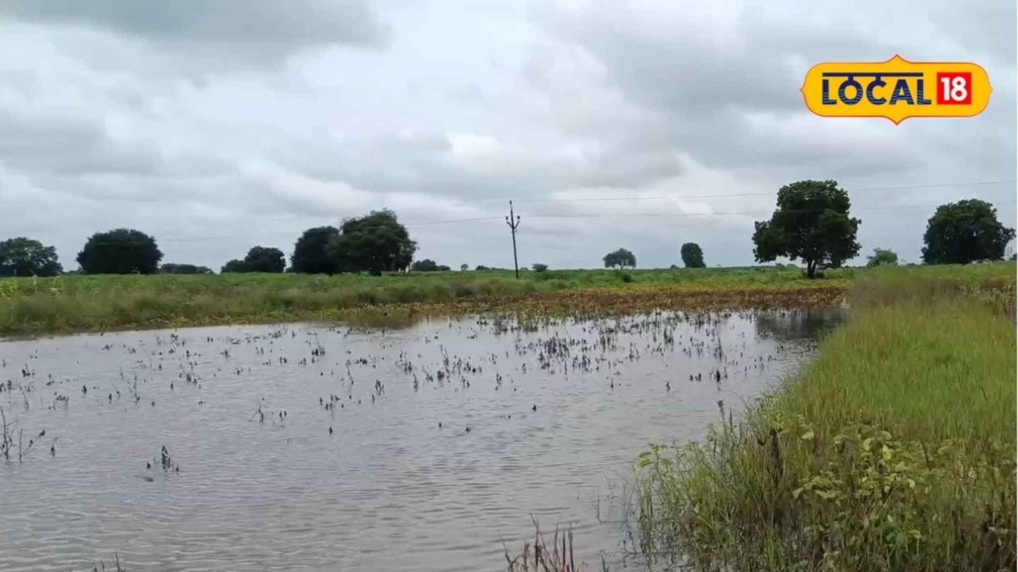 Weather Alert: संकट अजून टळलं नाही! मराठवाड्यात पुन्हा कोसळणार, छ. संभाजीनगरसह 5 जिल्ह्यांना अलर्ट