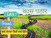 कास पठारला कसं पोहोचाचं? Entery Fee, राहण्याची सोय, एकूण खर्च; A to Z माहिती