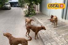 Stray Dog Attack: : खेड हादरलं! आधी घेरलं नंतर फरफटत आणलं, चिमुकलीसोबत कुत्र्यांचं भयंकर कृत्य