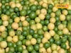 लिंबाचे दर घसरले! सोलापूर मार्केटमधून मोठं अपडेट, पिवळ्या लिंबाचा भाव काय?