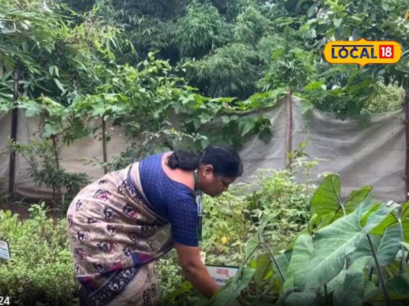 प्रशिक्षण कार्यक्रमांतर्गत आतापर्यंत 100 पेक्षा अधिक महिलांना 28 प्रकारच्या भाज्यांचा बियाणे संच आणि आंबा, लिंबू, जांभूळ, सीताफळ, कढीपत्ता यांसारख्या फळझाडांची रोपे भेट म्हणून देण्यात आली आहेत. यात पालेभाज्या, फळभाज्या, वेलवर्गीय, शेंगवर्गीय आणि कंद भाज्यांचा यात समावेश आहे.