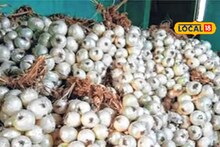 Onion Price: सोलापूर मार्केटमध्ये नवीन पांढऱ्या कांद्याची आवक, क्विंटलला मिळतोय तब्बल एवढा दर, Video