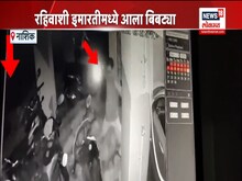 NASHIK:चक्क पार्किंगमध्ये आला बिबट्या ! पाहा VIDEO