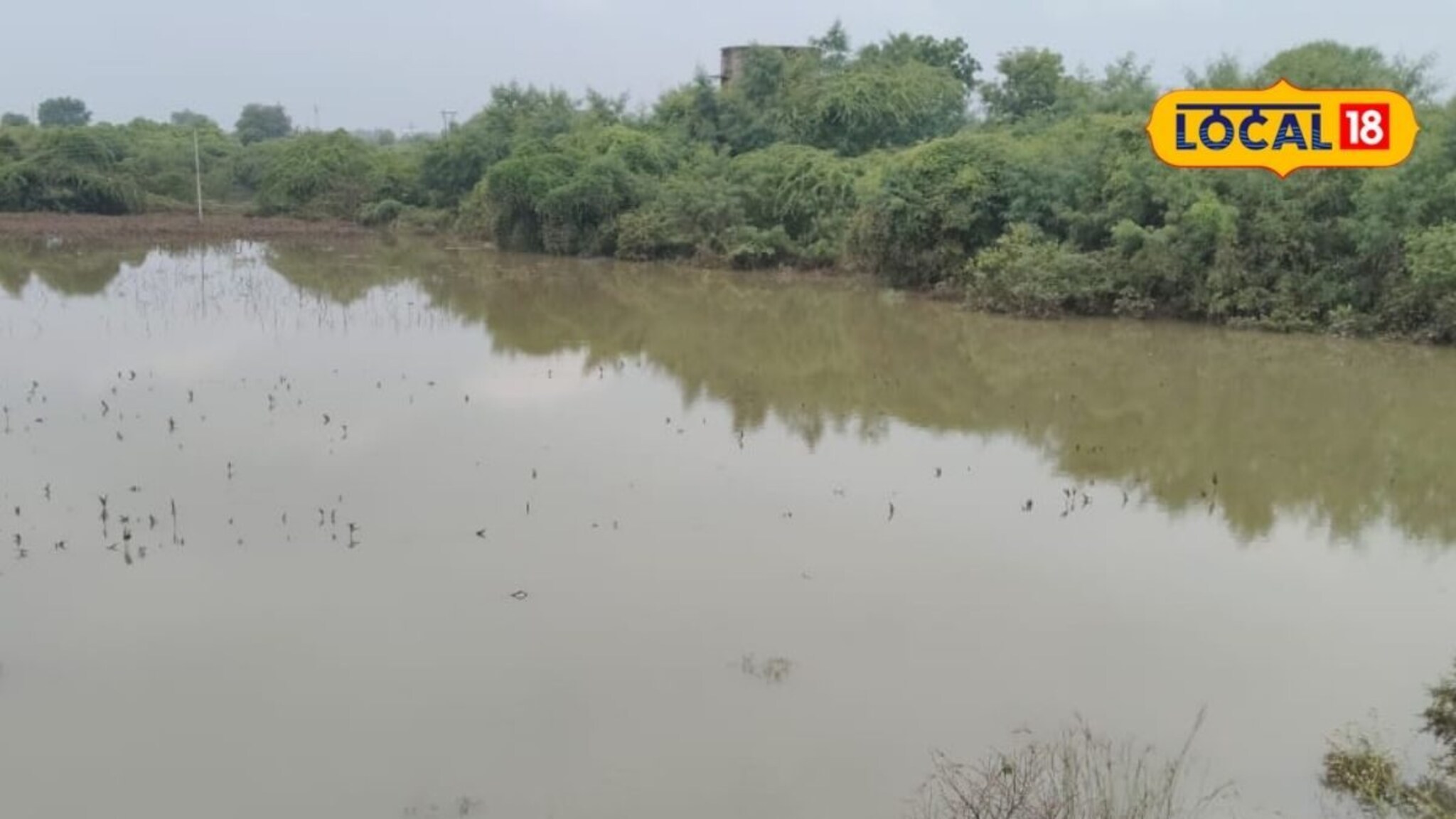 ओला दुष्काळ म्हणजे नेमकं काय? तो कधी जाहीर केला जातो? Video