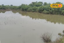 Wet Drought : ओला दुष्काळ म्हणजे नेमकं काय? तो कधी जाहीर केला जातो? महायुती सरकार देईल का बळीराजाला आधार? Video