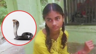 ९ वेळा मुलीला चावला साप
