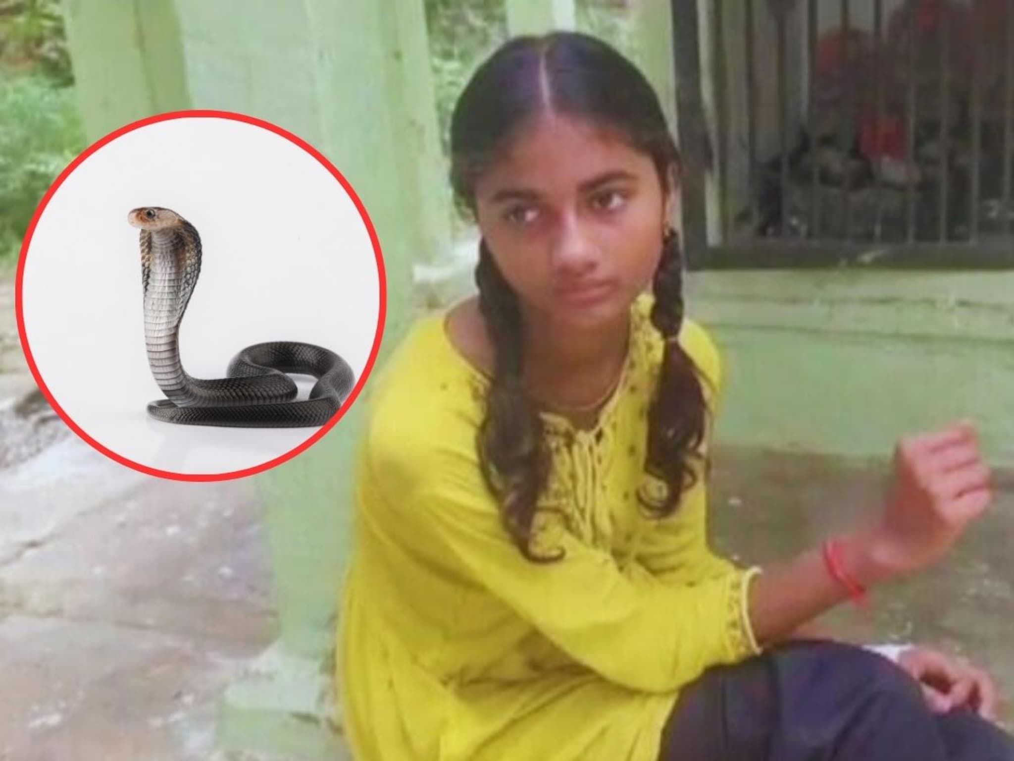 9 वीत शिकणाऱ्या रियाला महिन्याभरात 9 वेळा चावला साप, 22 जुलै नंतर सुरु झाला जीवघेणा खेळ, नक्की हा प्रकार काय?