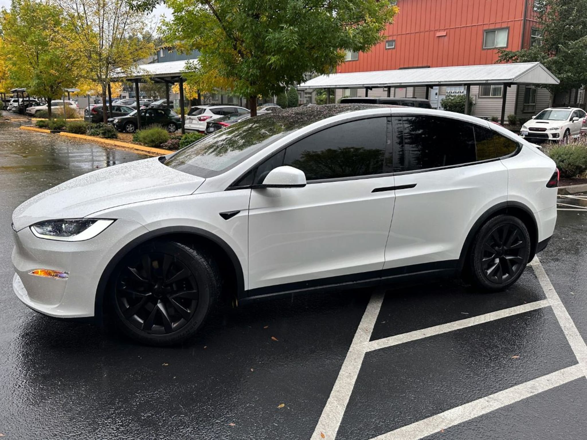 Tesla कारच्या काचा फोडून लोक येताय बाहेर, आली मोठी समस्या, 1,74,000 गाड्यांची होणार तपासणी