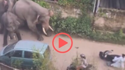 व्हायरल व्हिडीओ व्हायरल व्हिडीओ