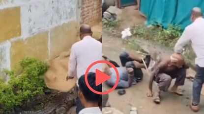 व्हायरल व्हिडीओ व्हायरल व्हिडीओ